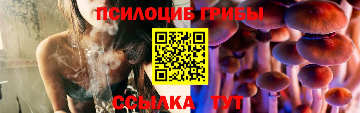 Псилоцибиновые грибы прущие грибы  Вход с VPN  Энгельс  Псилоцибиновые грибы Psilocybe 